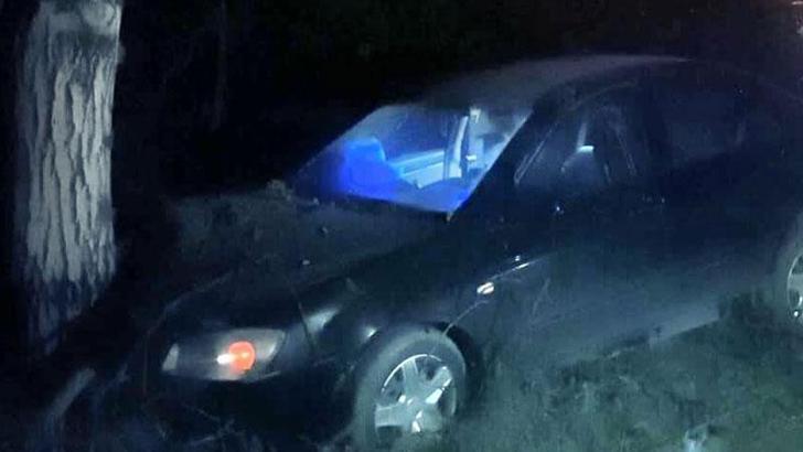 Bursa'da otomobil ağaca çarptı: 3 yaralı