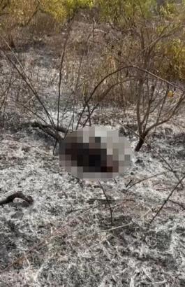 Temizlik için ateş yaktığı bahçede alevlerin arasında kalıp öldü