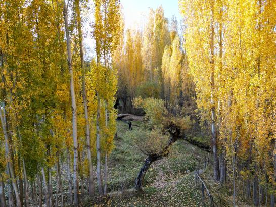 Bitlis'te sonbahar güzelliği