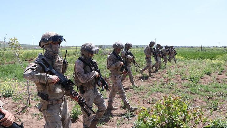 Şanlıurfa’da uyuşturucu ve kaçakçılık operasyonları; 9 gözaltı