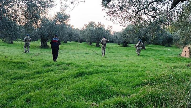 Balıkesir'de zeytin hırsızlığına karşı jandarma ve komandolar sahada