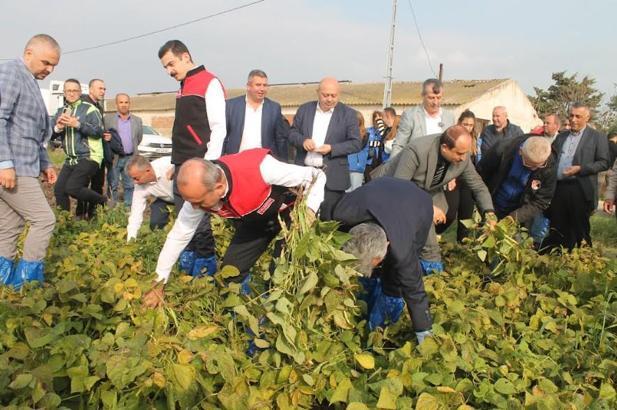 Coğrafi işaretli ‘Kazak fasulyesi’ hasadı festivalle yapıldı