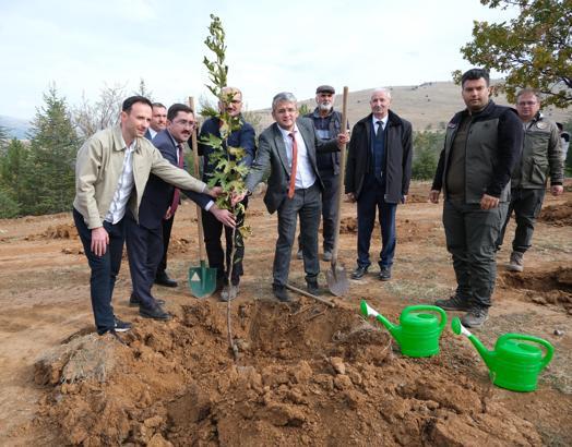 Yalvaç'ta fidanlar toprakla buluştu