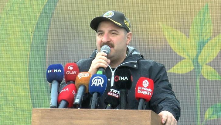 Varank: Kanunen, yanan ormanlar sadece orman yapılabilir