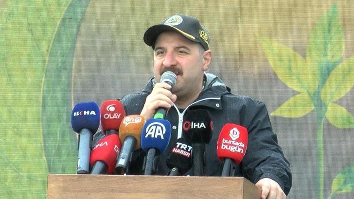 Varank: Kanunen, yanan ormanlar sadece orman yapılabilir