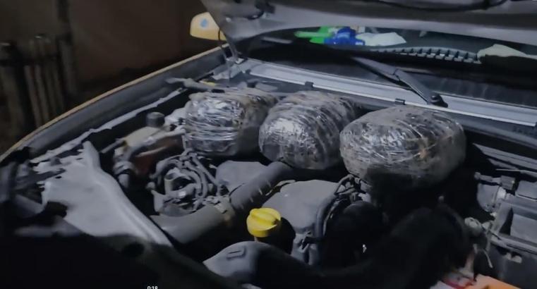 Otomobilin kaputunun altında 3 kilo skunk ele geçirildi