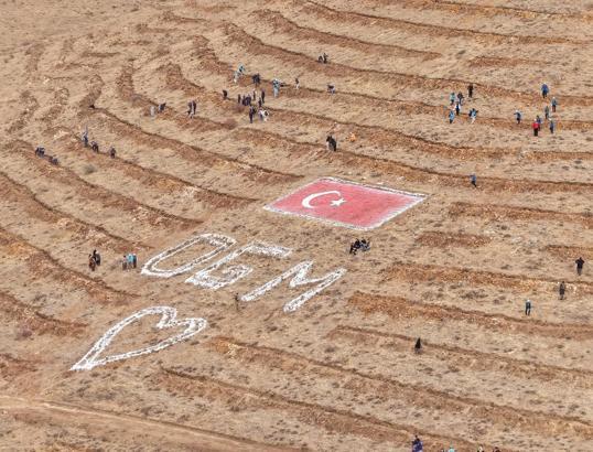 Kayseri’de 35 bin fidan dikildi