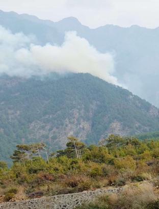 Hatay'da orman yangını