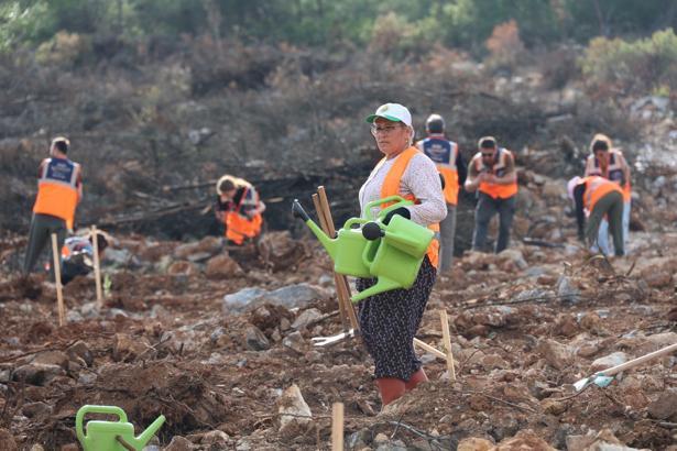 Bodrum’da fidanlar toprakla buluştu