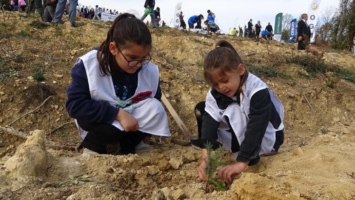 Samsun’da 37 bin 380 adet fidan toprakla buluştu