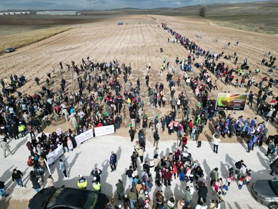 Odunpazarı’nda 20 bin fidanın dikimi gerçekleştirildi