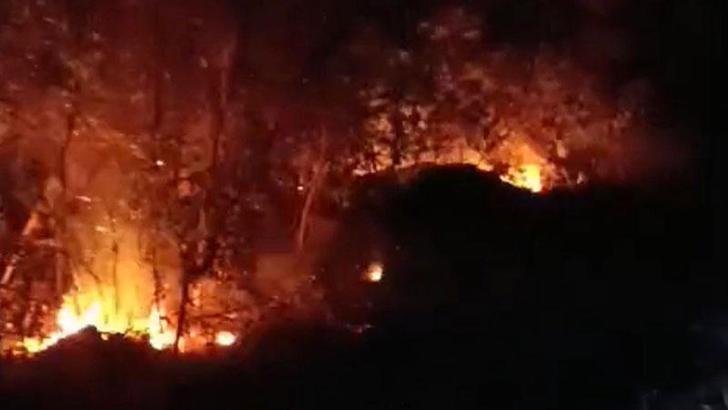 Hatay’da iki ayrı noktada yıldırım kaynaklı orman yangını kontrol altına alındı