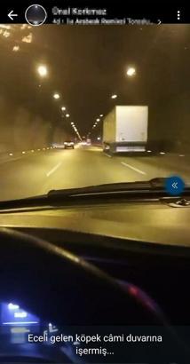 Boşandığı kadını tehdit edip, boğazına bıçak dayadı; dosyası ağır ceza mahkemesine gönderildi