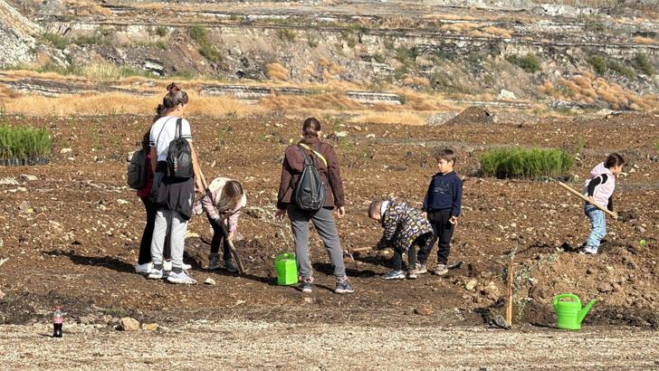 Maden rehabilitasyon projesi kapsamında zeytin fidanları toprakla buluştu