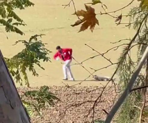 Sokak köpeğini iple sürükleyen belediye personeli adli kontrolle serbest