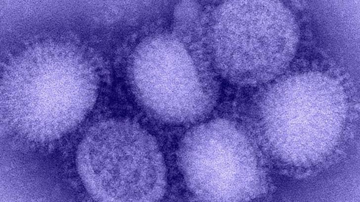 Kuzey Yarımküre'de 'H3N2' alarmı