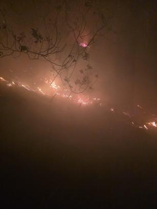 Hatay’da yıldırım düşmesi sonucu orman yangını çıktı