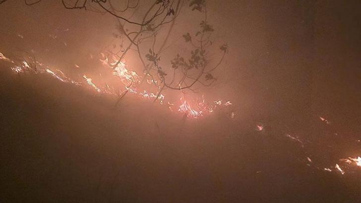 Hatay’da yıldırım düşmesi sonucu orman yangını çıktı