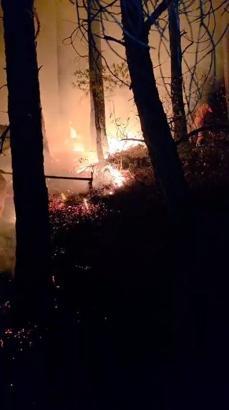 Hatay’da yıldırım düşmesi sonucu çıkan orman yangını, 12 saatte kontrol altına alındı