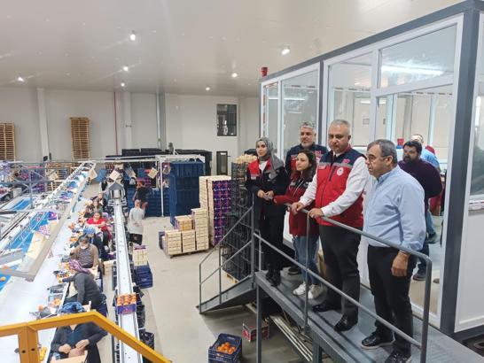 Hatay’da turunçgil paketleme işletmeleri denetlendi