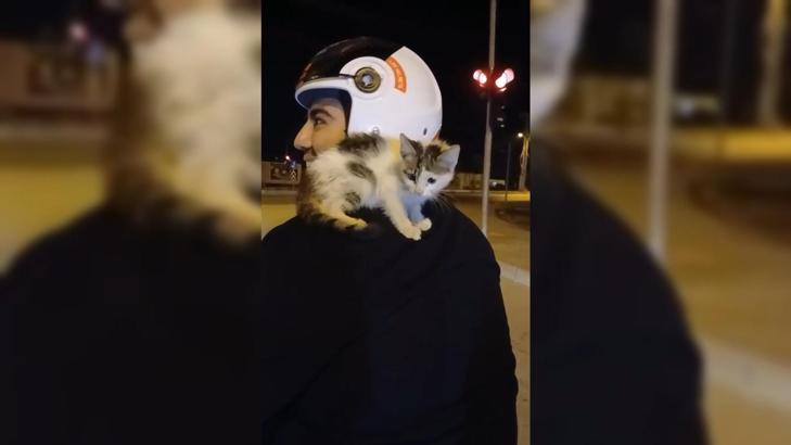 Motosiklet sürücüsü yolda bulduğu yavru kediyi sahiplenip omzunda eve götürdü