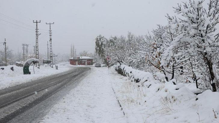 Kayseri'de kar yağışı