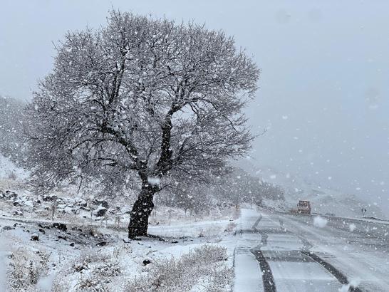 Bingöl-Elazığ karayolunda kar yağışı ulaşımı olumsuz etkiledi