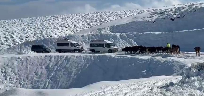 Muş'ta 14 köy yolu kardan kapandı