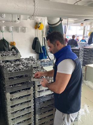 Samsun’da balık denetimleri: 109 kişi ve işletmeye 2,5 milyon TL ceza