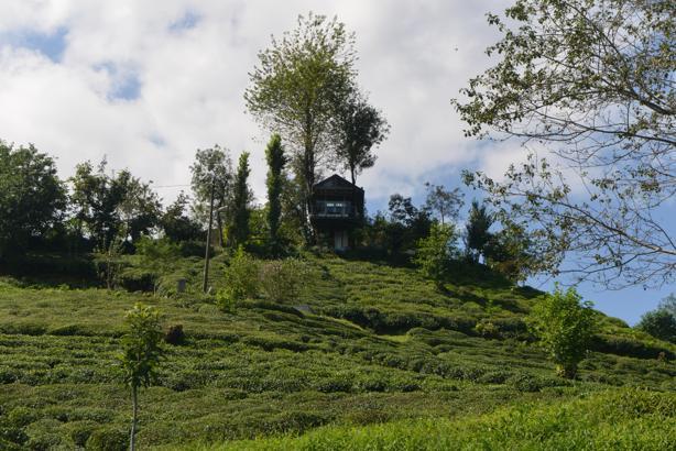 İki kardeşin hayali gerçek oldu; atık malzemeden manzaralı ağaç ev yaptılar