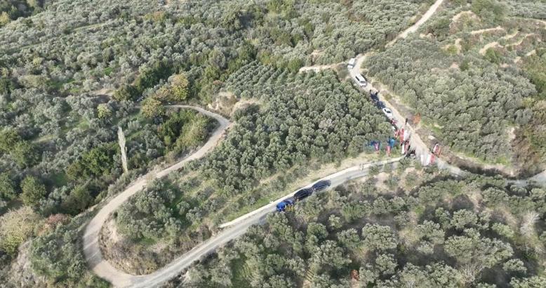 Hatay’da zeytin hasadına başlandı; 201 bin ton rekolte bekleniyor