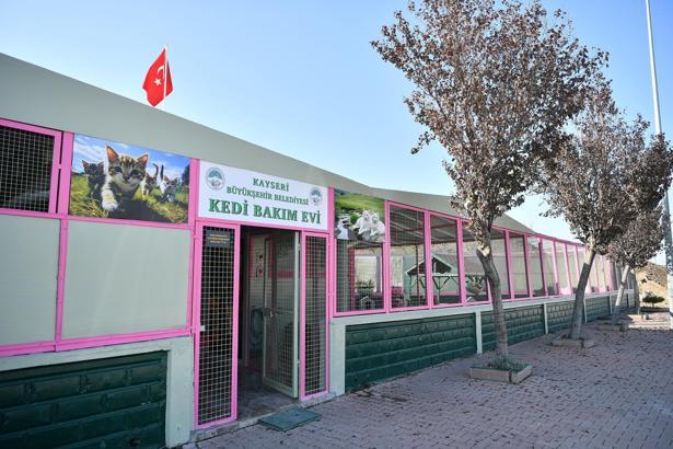 Büyükşehir Belediyesi'nden patili dostlara yaşam desteği