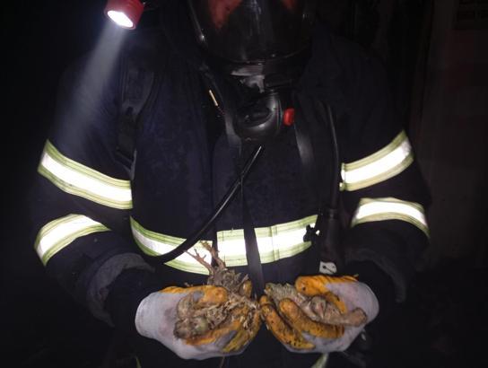 Balıkesir’de tavuk çiftliğinde çıkan yangında 5 bin civciv öldü