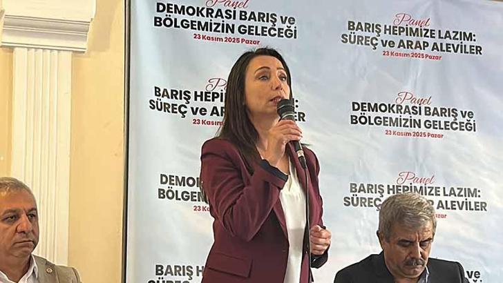 Hatimoğulları: CHP'nin İmralı'ya gitmesini çok önemsiyoruz