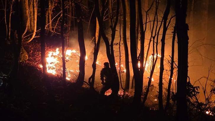 Ordu’da örtü yangını, ormana sıçradı