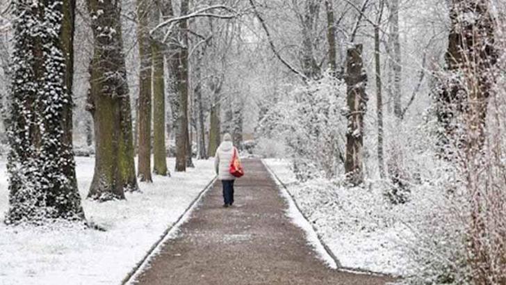 Almanya'da kar yağışı trafik kazalarına neden oldu: 3 ölü
