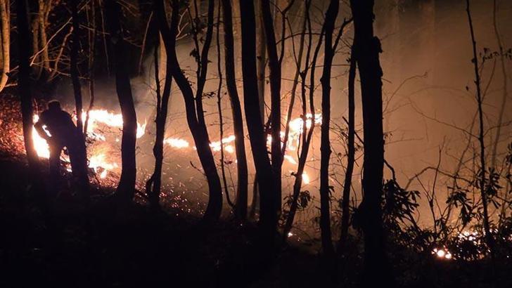 Ordu'da ormana da sıçrayan örtü yangını kontrol altına alındı