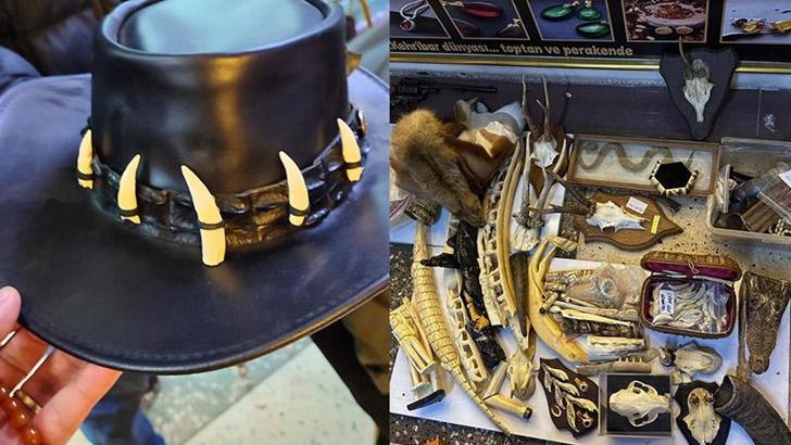 Maltepe'de düzenlenen operasyonda çok sayıda yasa dışı yaban hayatı ürünü ele geçirildi