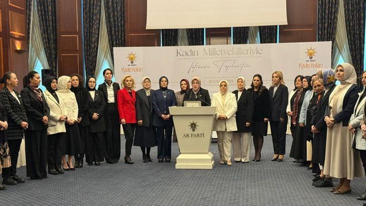 AK Parti'li Ercan: Kadına şiddetle mücadele, AK Parti'nin inşa ettiği bir devlet politikasıdır