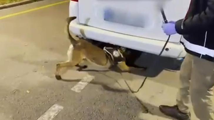 Stepneye zulalanmış 12 kilo uyuşturucuyu 'Hector' buldu