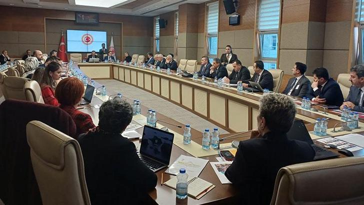 TBMM Engelli Bireylerin Sorunlarını Araştırma Komisyonu toplandı; 33 çocuktan 1'i otizm tanısı alıyor