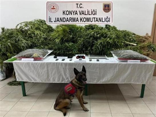 Çiftlikte uyuşturucu bulunmasında sahibi avukat beraat etti, kiracı ceza aldı