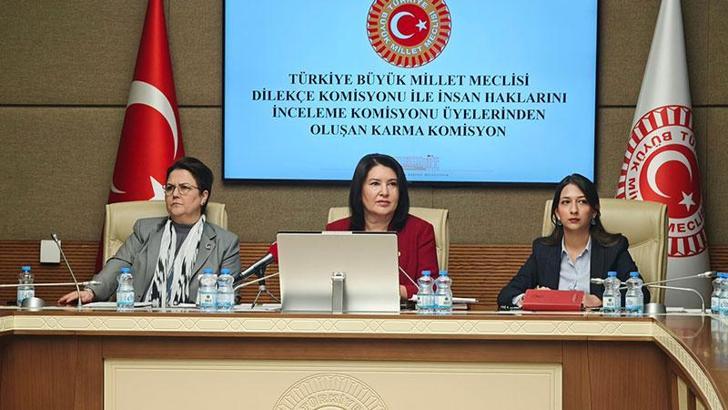 Komisyonda 'İmralı ziyareti' tartışması