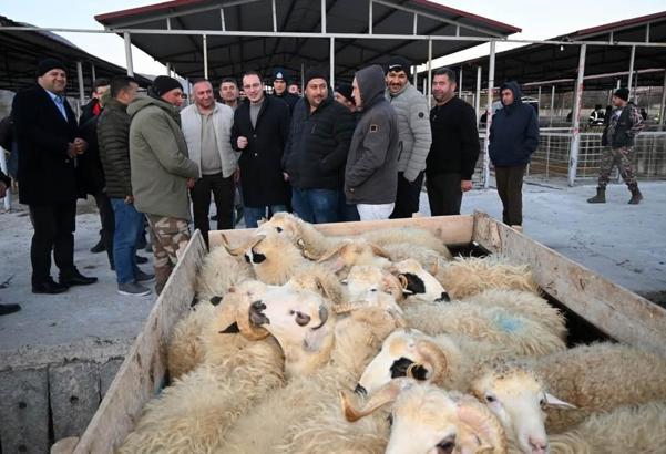 Şap hastalığı kontrolü yapıldı