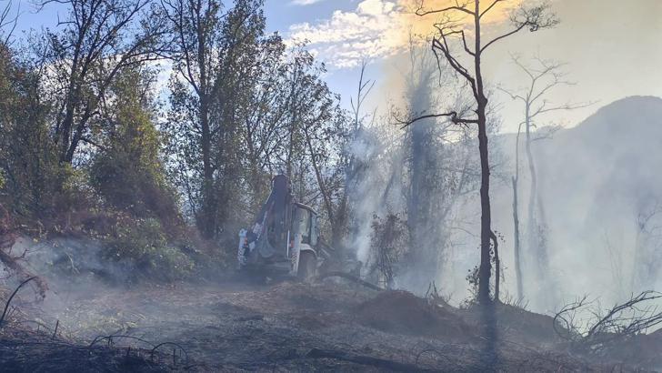 Artvin’de örtü yangını ormana yayıldı