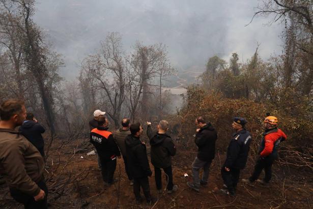 Artvin’de örtü yangını ormana yayıldı (2)