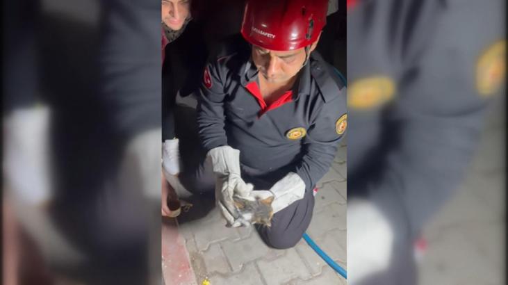 Osmaniye’de mazgala düşen yavru kedi itfaiye ekiplerince kurtarıldı