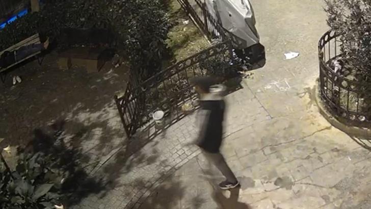 İstanbul- Beyoğlu'nda bankta uyuyan adamın cep telefonunu gasp eden şüpheli kamerada