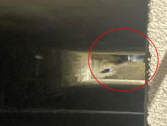 Mardin'de yüksekten düşen işçi öldü