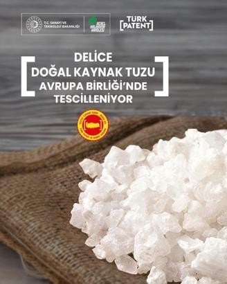 Delice doğal kaynak tuzunun tescili, AB'nin Resmi Gazetesi'nde yayımlandı